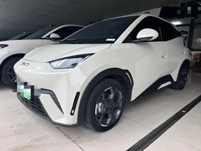 BYD Seagull · 2025 год