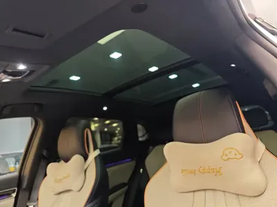 BYD PLUS New Energy 2022, 38800 км, за 65800 CNY - фото 12
