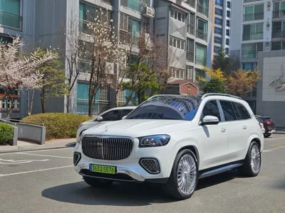 Mercedes-Benz GLS-Class · 2025 год