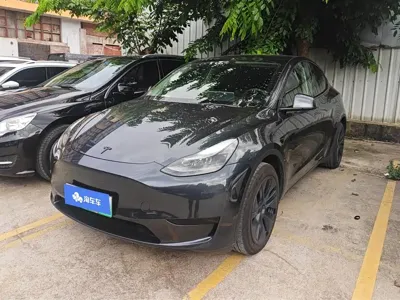 Tesla Model Y · 2024 год