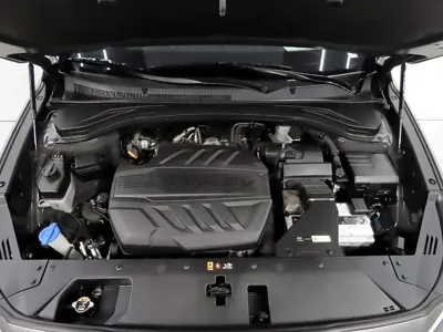 Hyundai Santafe 2019, 230388 км, за 13000000 KRW - фото 6