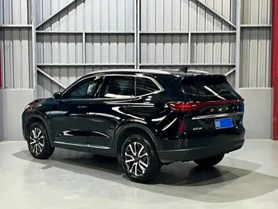Haval H6 2024, 13000 км, за 69800 CNY - фото 9