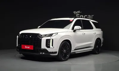 Hyundai Palisade · 2024 год