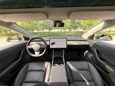 Tesla Model 3 2020, 34000 км, за 119800 CNY - фото 6