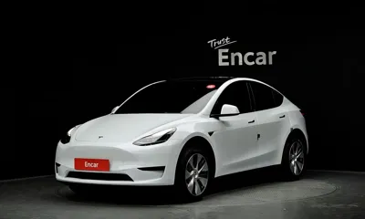 Tesla Model Y · 2024 год