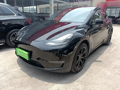 Tesla Model Y · 2021 год