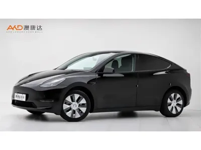 Tesla Model Y · 2023 год