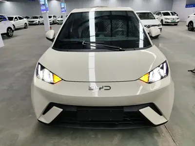 BYD Seagull 2024, 39600 км, за 48400 CNY