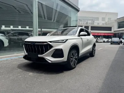 Oshan Oushang X5 · 2021 год