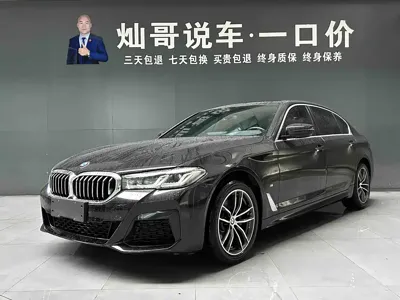 BMW 5 Series · 2022 год