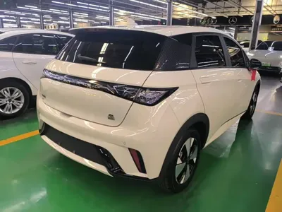 BYD Dolphin 2023, 29500 км, за 61600 CNY - фото 7