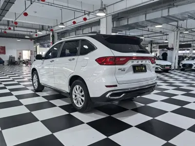 Haval M6 2021, 21000 км, за 49800 CNY - фото 6