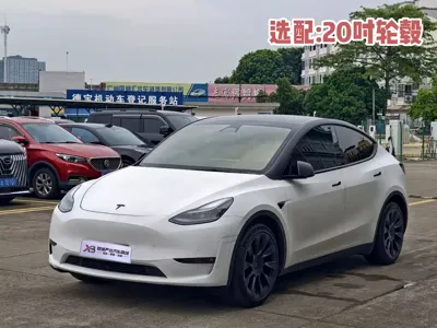 Tesla Model Y · 2021 год
