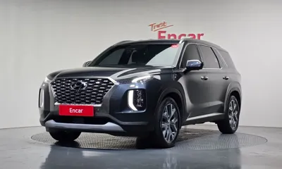 Hyundai Palisade · 2019 год
