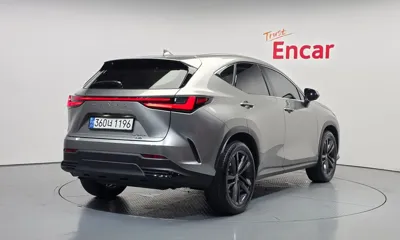 Lexus NX 2024, 31487 км, за 52800000 KRW