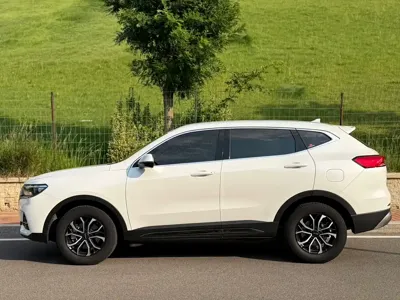Haval H6 2022, 48000 км, за 65800 CNY - фото 6