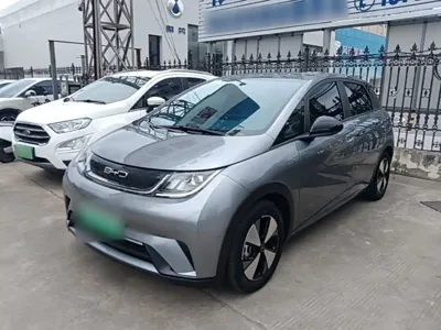 BYD Dolphin · 2024 год