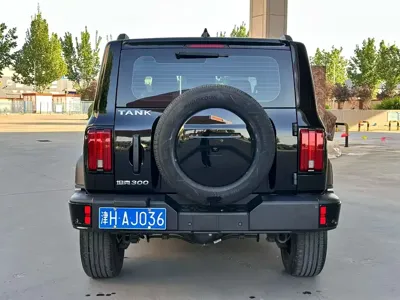 Tank Tank 300 2022, 58000 км, за 138000 CNY - фото 8