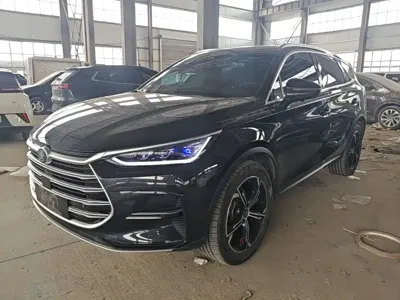 BYD Tang New Energy · 2022 год