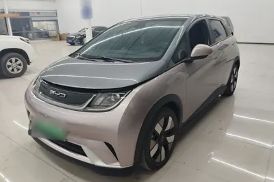 BYD Dolphin · 2021 год