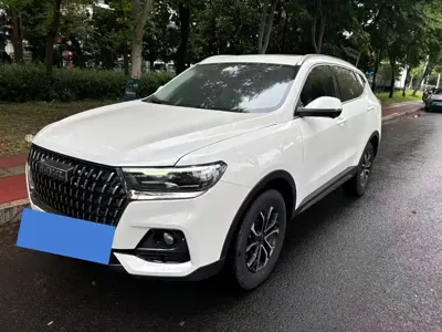 Haval H6 · 2024 год