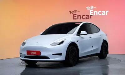 Tesla Model Y · 2023 год
