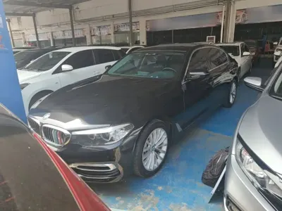 BMW 5 Series · 2019 год