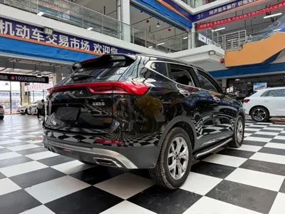 Haval H6 2022, 51000 км, за 59800 CNY - фото 18