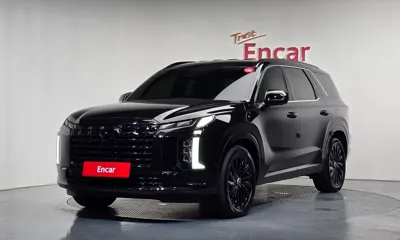 Hyundai Palisade · 2024 год