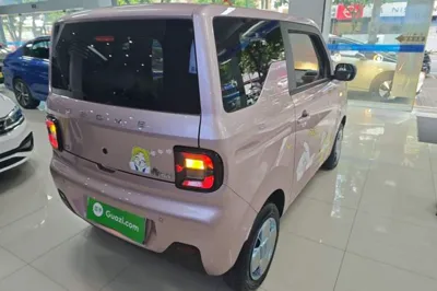 Geely Galaxy Panda 2024, 4800 км, за 45579.86 CNY - фото 6