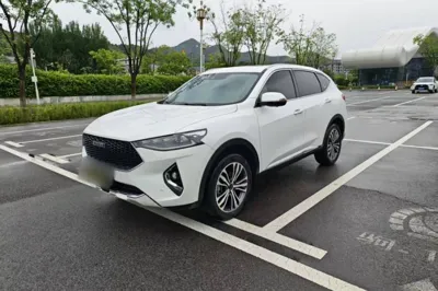 Haval F7 · 2019 год