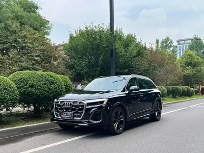 Audi Q7 · 2025 год