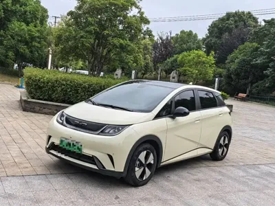 BYD Dolphin · 2024 год