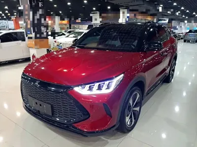 BYD PLUS New Energy · 2023 год