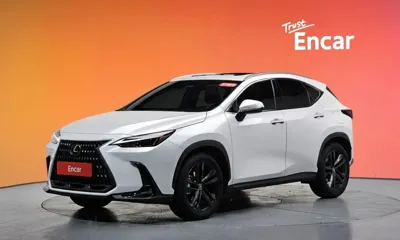 Lexus NX · 2025 год
