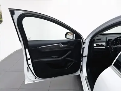 BYD Qin Pro NEV 2019, 33400 км, за 35800 CNY - фото 8