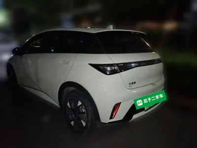 BYD Dolphin 2023, 82899 км, за 61647.42 CNY - фото 16