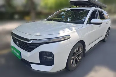 Baojun Valli · 2021 год