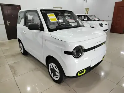 Galaxy Panda 2026, 100 км, за 39900 CNY