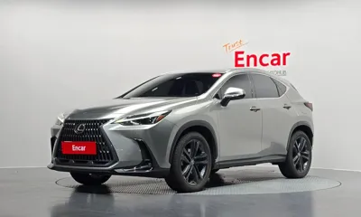 Lexus NX · 2023 год