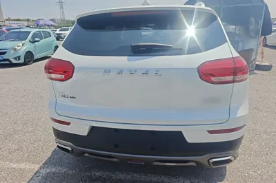 Haval H6 2019, 44500 км, за 55338.87 CNY - фото 5