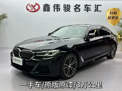 BMW 5 Series · 2023 год