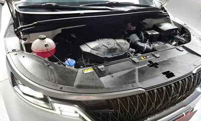 Kia Canival 2022, 51428 км, за 33900000 KRW - фото 6