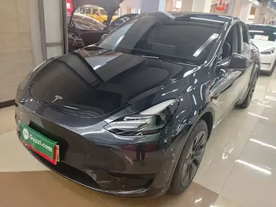 Tesla Model Y · 2024 год