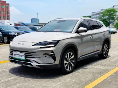 BYD PLUS New Energy · 2023 год