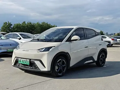 BYD Seagull · 2023 год