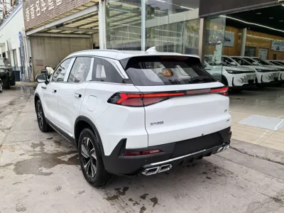 BAIC Beijing X7 2023, 100 км, за 81609.62 CNY - фото 4