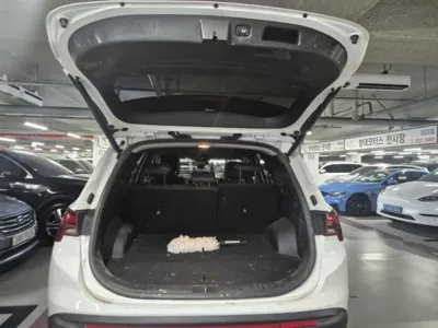 Hyundai Santafe 2022, 60053 км, за 25600000 KRW - фото 6