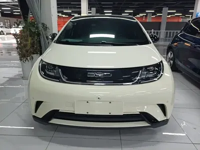 BYD Dolphin 2023, 78000 км, за 60500 CNY - фото 3