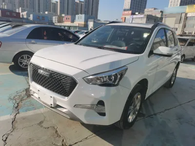 Haval M6 · 2017 год